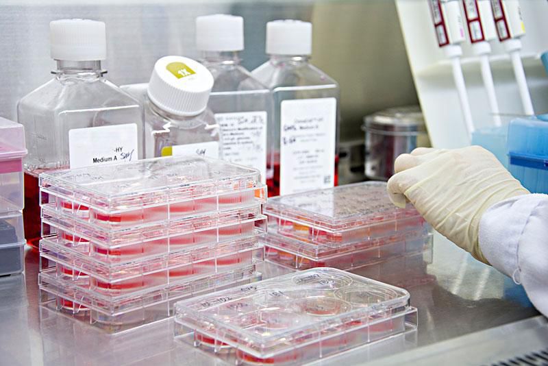 細胞培養(yǎng)消泡劑應用場景圖