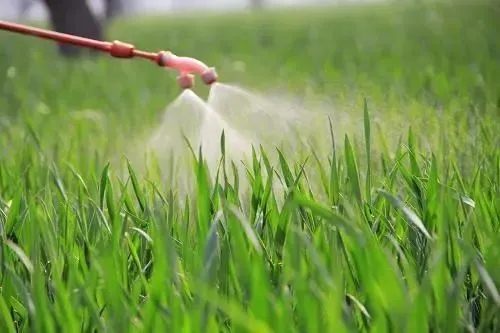 葉面肥消泡劑應(yīng)用場(chǎng)景圖