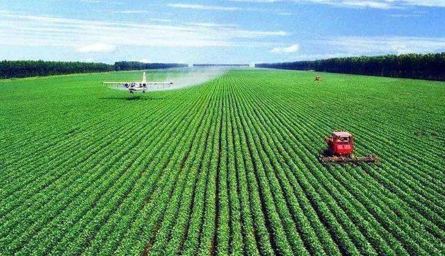 葉面肥泡沫多怎么辦？可以使用葉面肥消泡劑