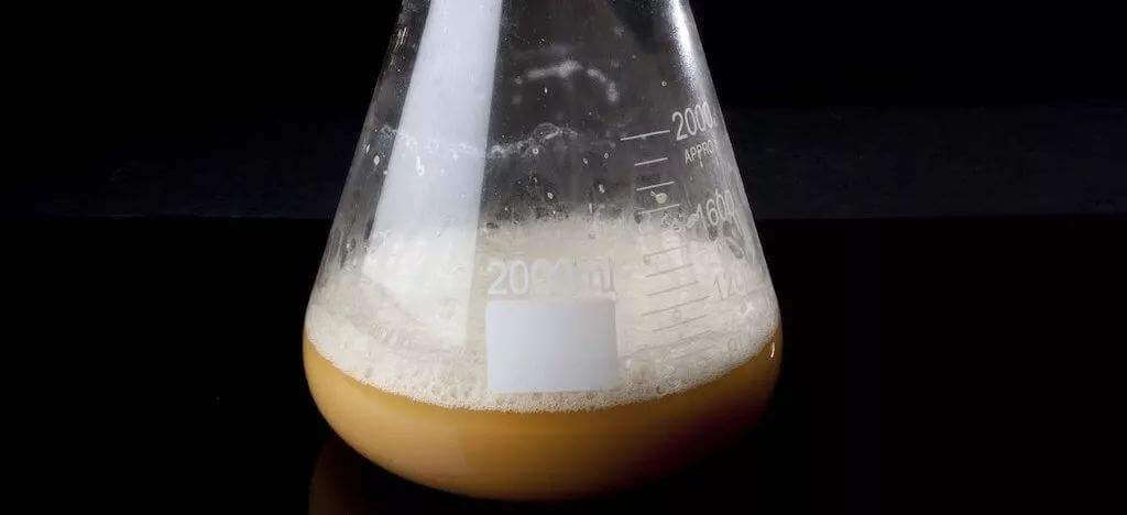 酵母發(fā)酵起泡是怎么回事，怎么處理這些泡沫？