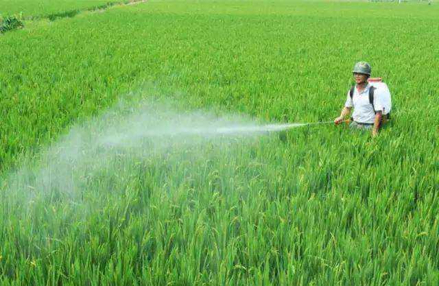 農(nóng)藥乳化劑用農(nóng)藥乳化劑起泡原因分析，泡沫過(guò)多怎么解決？泡劑